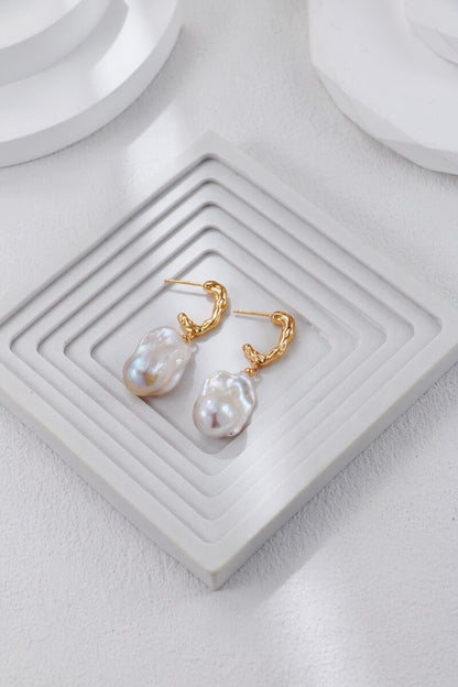 Silver-Earrings-Details-Display-2